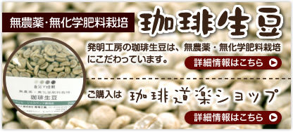 珈琲生豆