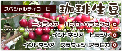 スペシャルティコーヒー 珈琲生豆