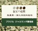 ブラジル ジャカランダ 有機JAS認証取得
