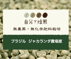 ブラジル ジャカランダ 有機JAS認証取得