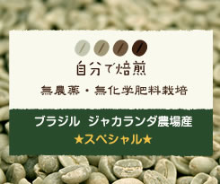 ブラジル ジャカランダ〈スペシャル〉 有機JAS認証取得